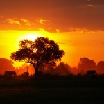 africa-photos-284.jpg