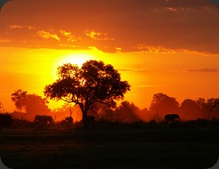 africa-photos-284