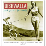 cd-cover.png