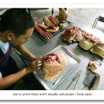 bread6.png