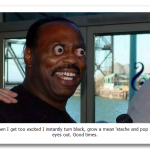gallery_1350_36623.png