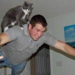 wtf_cat.jpg