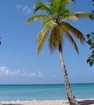 220px-1859-Martinique.web_thumb.jpg