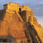 489beeca0793a7_93519858frogview-gallery.gif