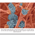 article-1297862-0A95754A000005DC-852_468x346.png