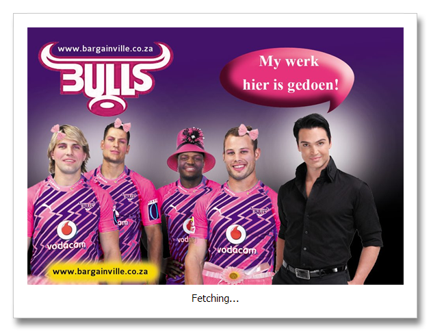 blue bulls pink jersey