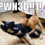 pwned2-8×6.jpg