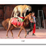 article-1301869-0ABF3DAF000005DC-908_468x286.png