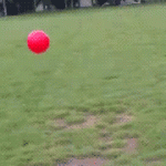 tumblr_m8ys92aL4M1r5c792o1_400-8×6.gif