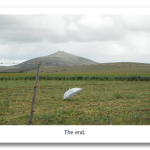 DSCF0566.png
