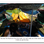 WP_000164.png