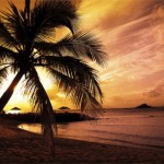 Sunset20Beach-8×6.jpg