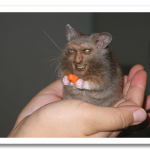 tumblr_lvm1gyMhUA1r112xlo1_500.png