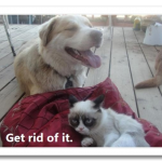 tumblr_mg5a11utgc1ql2603o1_500.png