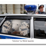 bear-in-car_2494625k.png
