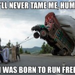 tumblr_mj1jf3QDf91qewacoo1_500-8×6.jpg