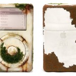 maico-akiba-moss-1-8×6.jpg
