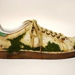 maico-akiba-moss-11-8×6.jpg