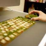 maico-akiba-moss-5-8×6.jpg