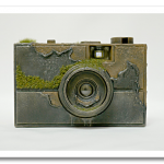 maico-akiba-moss-8.png