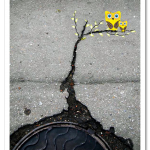 28-Imaginative-Examples-Of-Creative-Street-Art-3.png