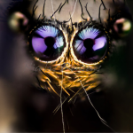 macro-bugs-1-600×528.png