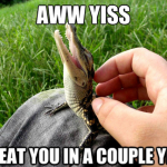 tumblr_movg7hEO7E1r0wqrdo1_500-8×6.png