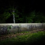 Untitled_1-8×6.jpg