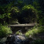 Untitled_20-8×6.jpg