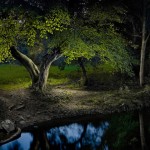 Untitled_21-8×6.jpg