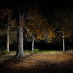 Untitled_5-8×6.jpg