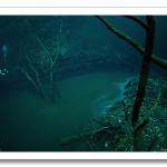 cenotecavediving.png