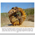 Thorny-Dragon.png