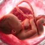 baby-in-womb.jpg