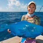 The-Blue-Parrotfish-8×6.jpg