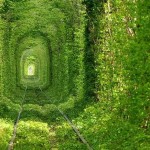 The_Tunnel_Of_Love_5-8×6.jpg