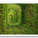 tss_1374259880_enhanced-buzz-wide-20713-1336426884-6.png