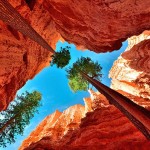 Bryce-Canyon-National-Par-014-8×6.jpg