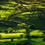 Lyth-Valley-in-the-Lake-D-012-8×6.jpg