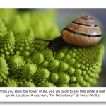s_n02_07228566.png