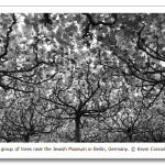 s_n05_11229482.png