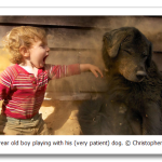 s_n09_05228373.png