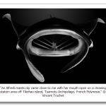 s_n12_14229992.png
