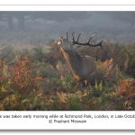 s_n26_11229380.png