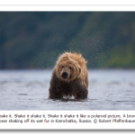 s_n30_03227839.png