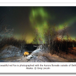 s_n37_14229959.png
