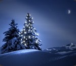 Beautiful-Christmas-Tree-Wallpaper_thumb.jpg