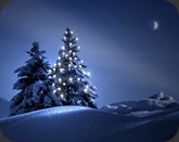 Beautiful-Christmas-Tree-Wallpaper