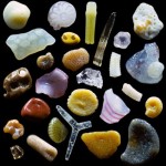 Dr.-Gary-Greenber-Microscopic-Sand-1-8×6.jpg