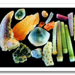 Dr.-Gary-Greenber-Microscopic-Sand-5.png